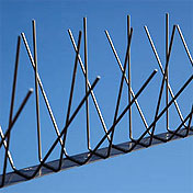 Taubenabwehr - Stacheln Taubenabwehr - Stacheln